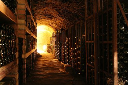 A large wine cellar where light streams in from afar through an open doorway