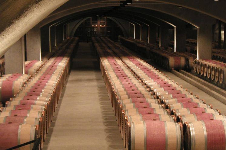 A large wine cellar from a vineyard with many barrels in several rows